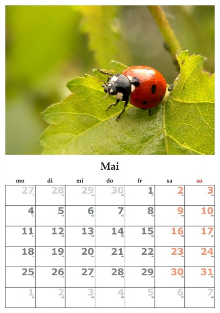 calendar-440582_1920